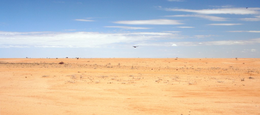 Picture of: File:Chalbi Desert Panorama