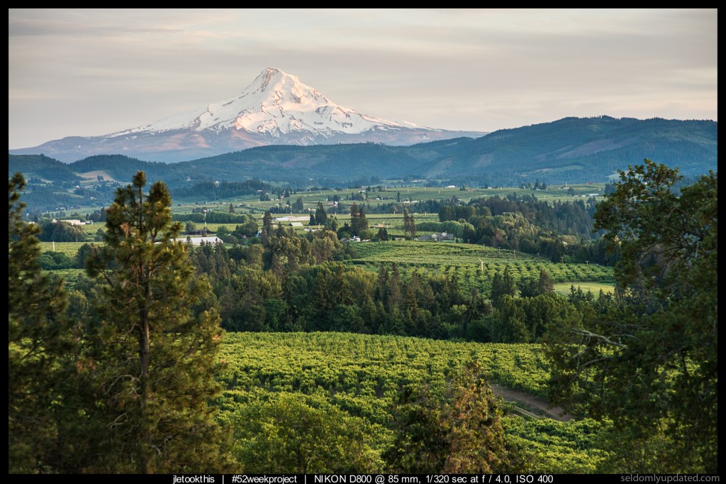 Picture of: weekproject: Week  – Panorama Point and Mount Hood  Seldomly